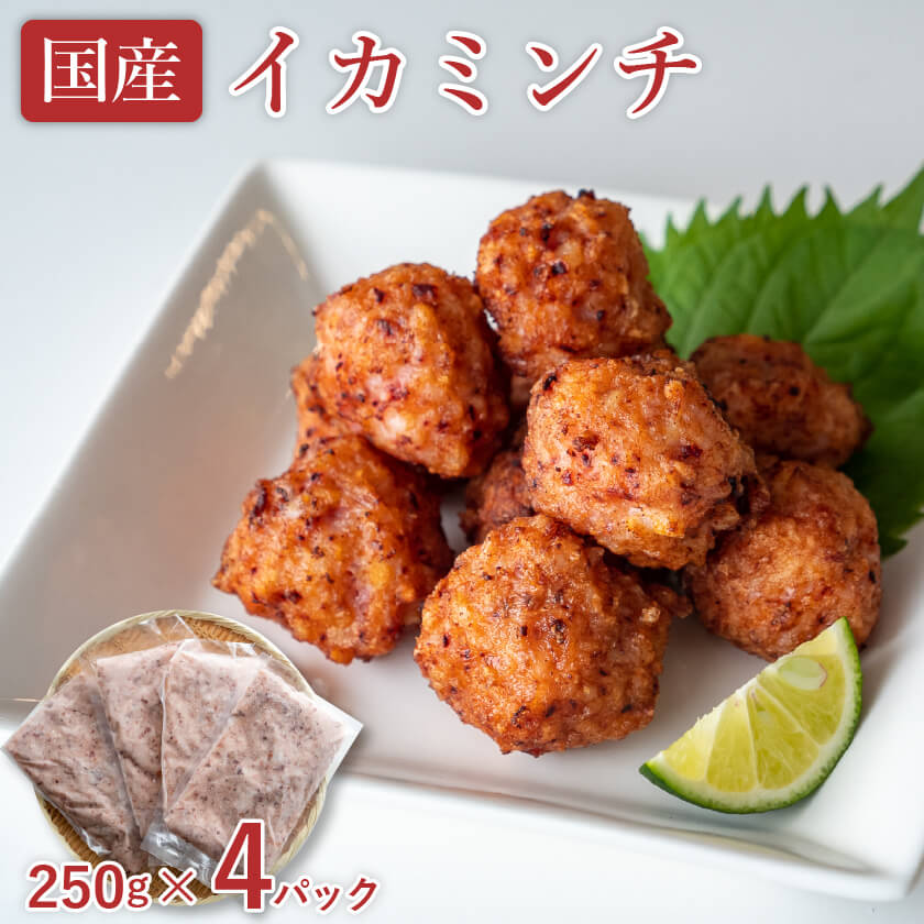 【通常価格より20%OFF】国産イカミンチ 250g × 4パック