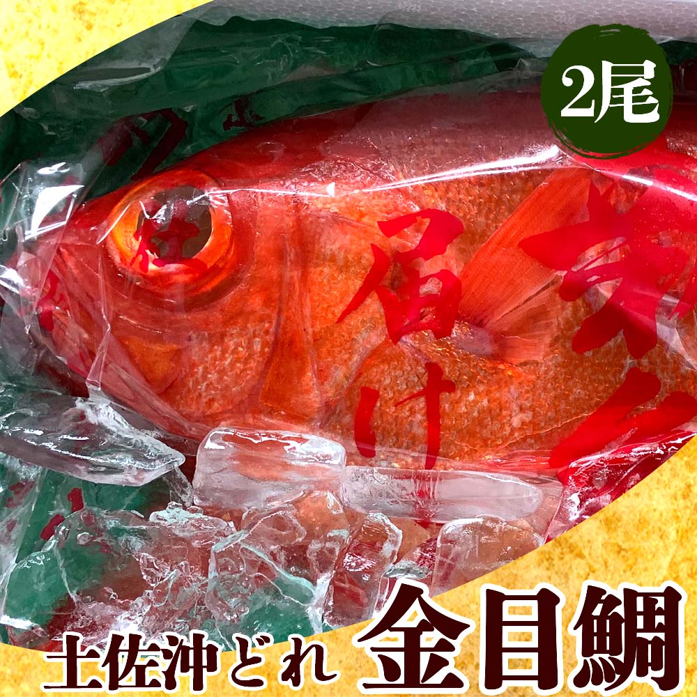 土佐沖どれ金目鯛【お届け不可地域あり】【お届け日時指定不可】【鮮魚】