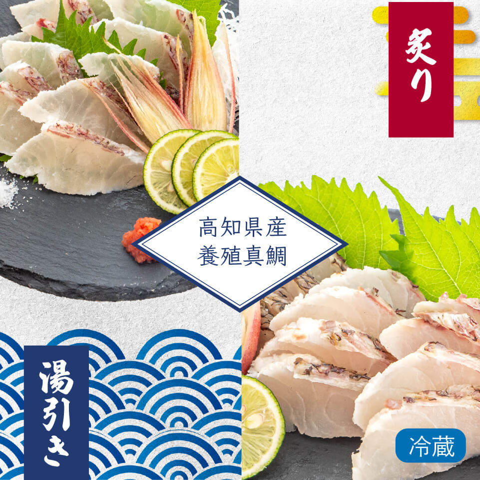 高知県産真鯛の炙り・湯引きセット　１尾分