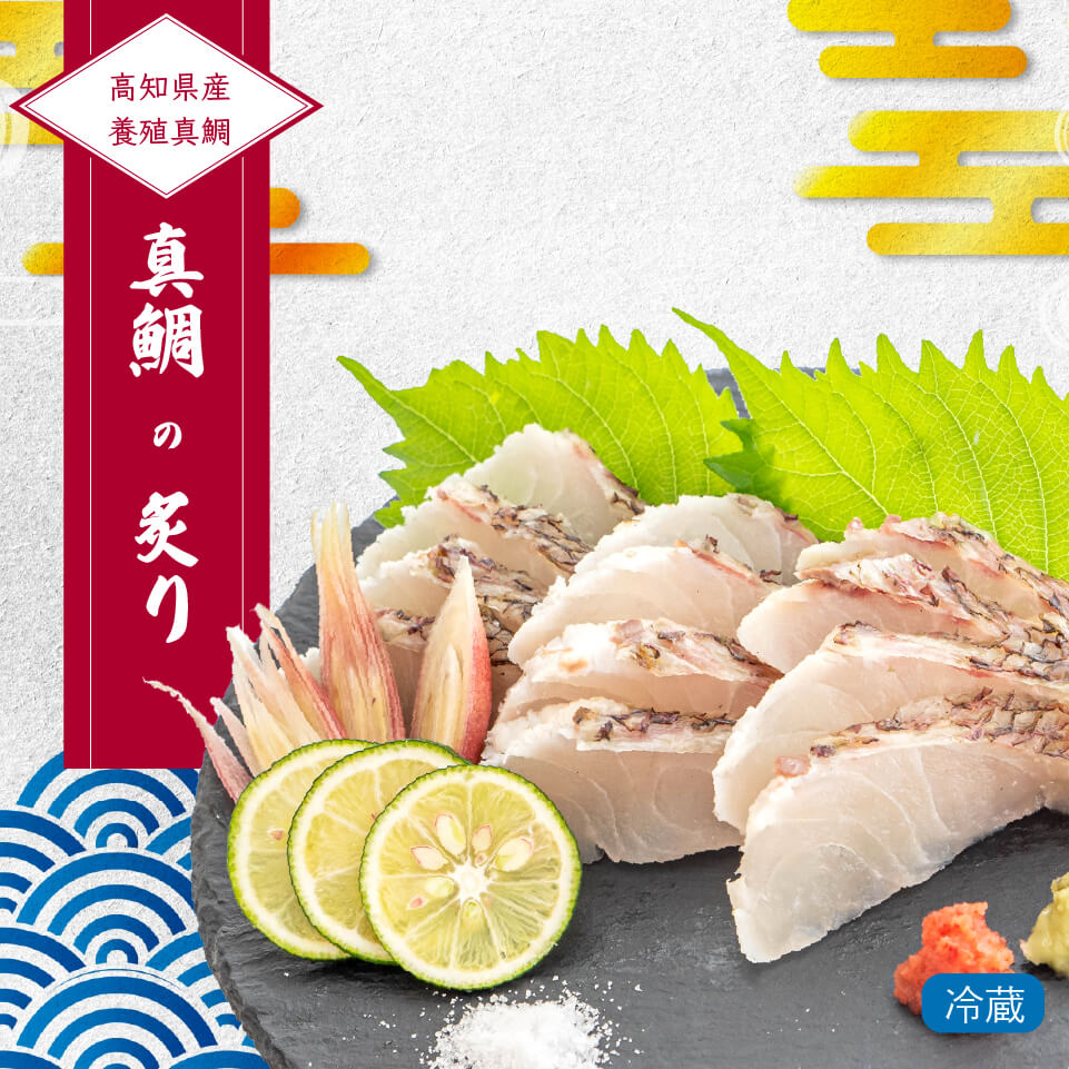 高知県産真鯛の炙り（半身分）　刺身醤油付き
