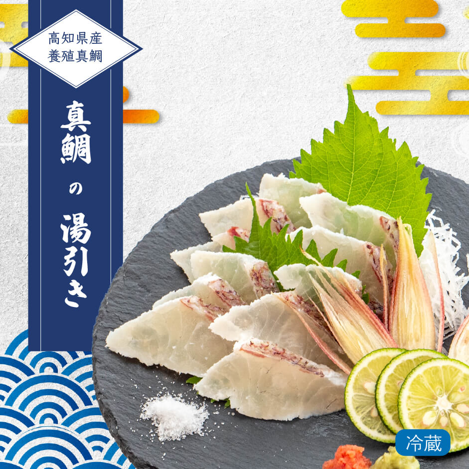 高知県産真鯛の湯引き（半身分）　刺身醤油付き