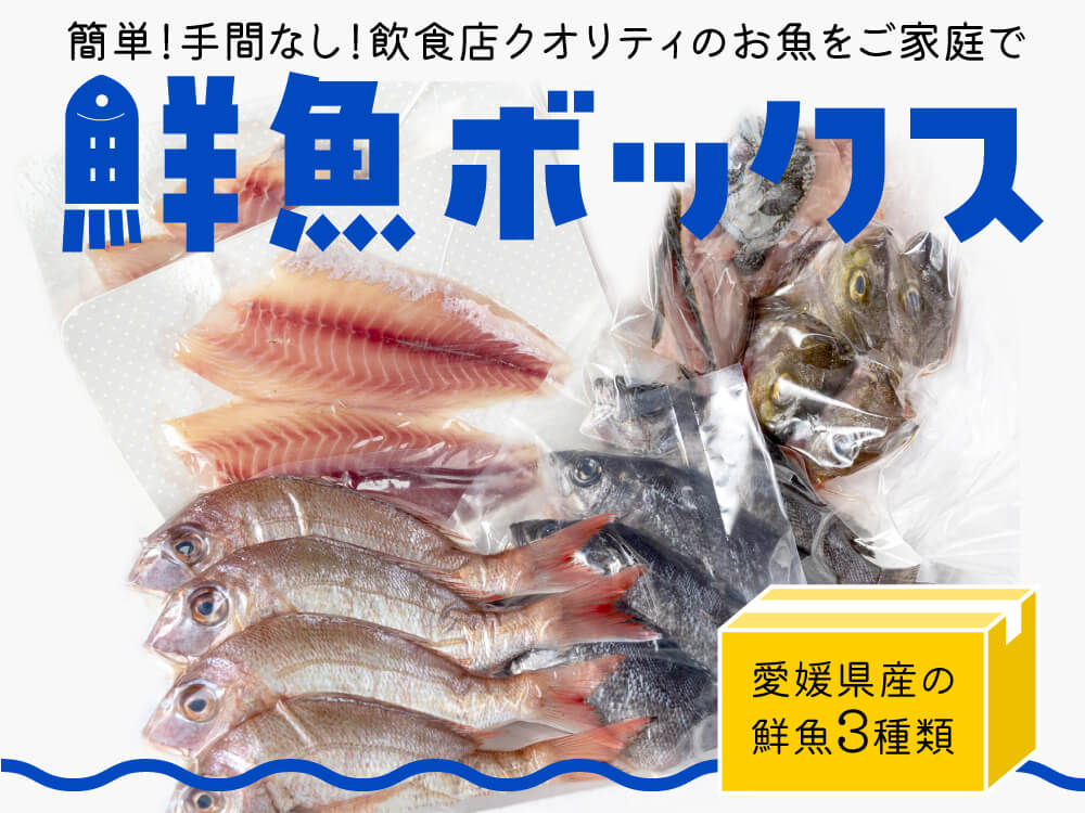 【嶋矢水産厳選】季節のお勧め鮮魚BOX（約4人前）【下処理済み】